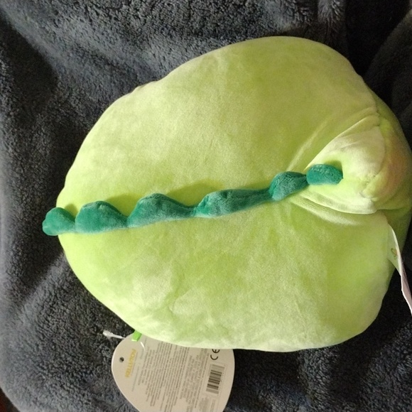 NWT Danny Dinosaur Squishmallow 8 inch (RFL) - Picture 4 of 4